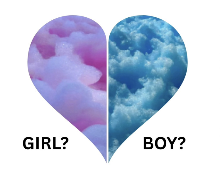 Gender Reveal Foam Party $179