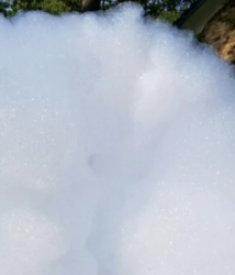 Screenshot202025 05 132010.16.2720AM201 1747175292 Foam Party $279