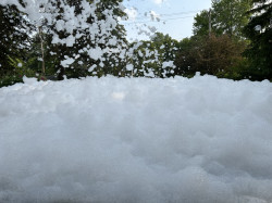IMG 0230 1749257778 Foam Party $279
