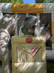 IMG 1095 1716374043 Jurassic Combo Wet/Dry $295