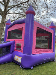 IMG 6997 1701288212 Pink & Purple Castle $199