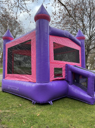 IMG 7009 1701288213 Pink & Purple Castle $199