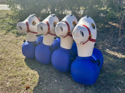IMG 6644 1775493619 Pony Hops (4) $110