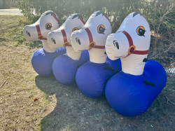 IMG 6657 1775493618 Pony Hops (4) $110